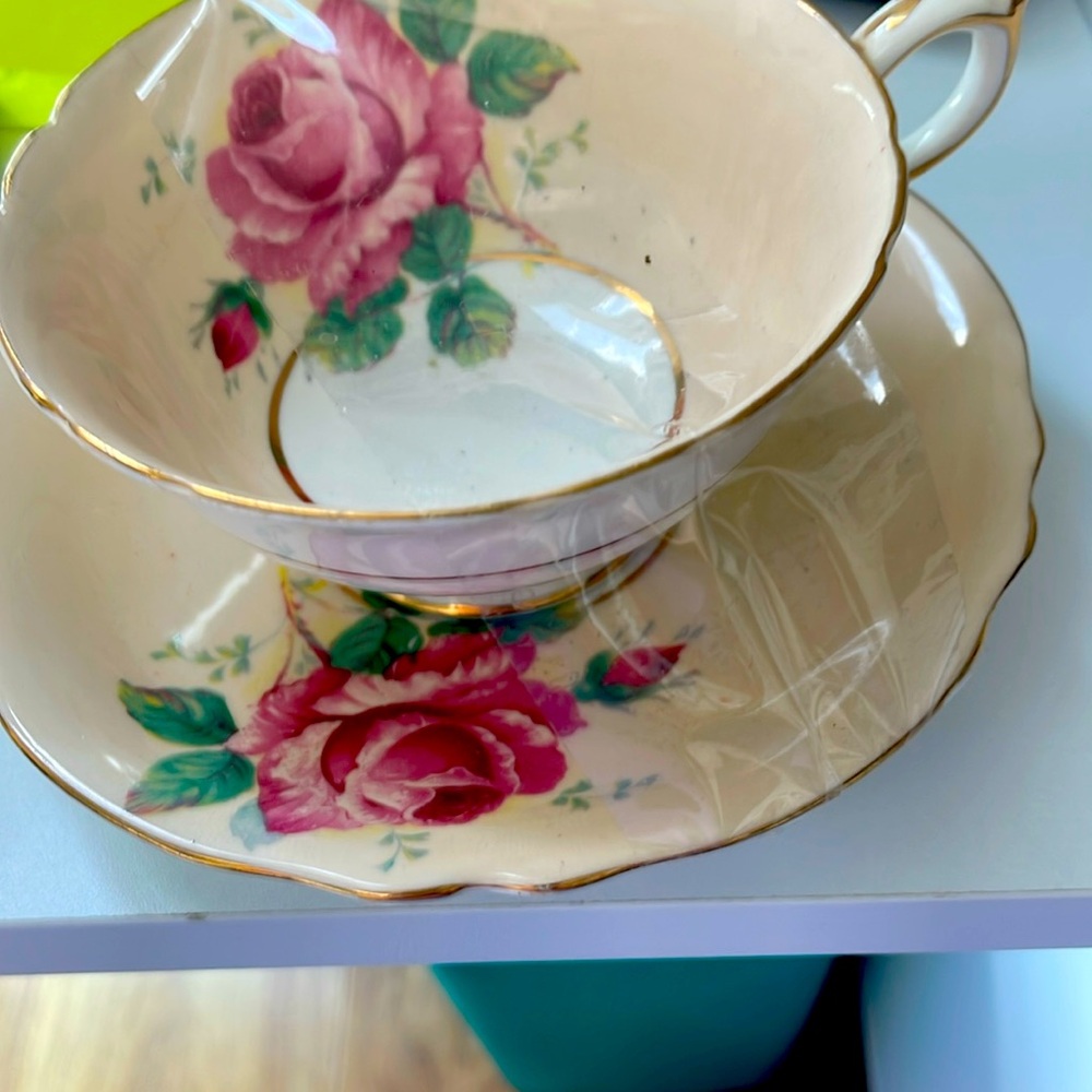 Paragon Double Warrant Cabbage Rose Teacup w/Pale Green/Pink/Gold, Footed